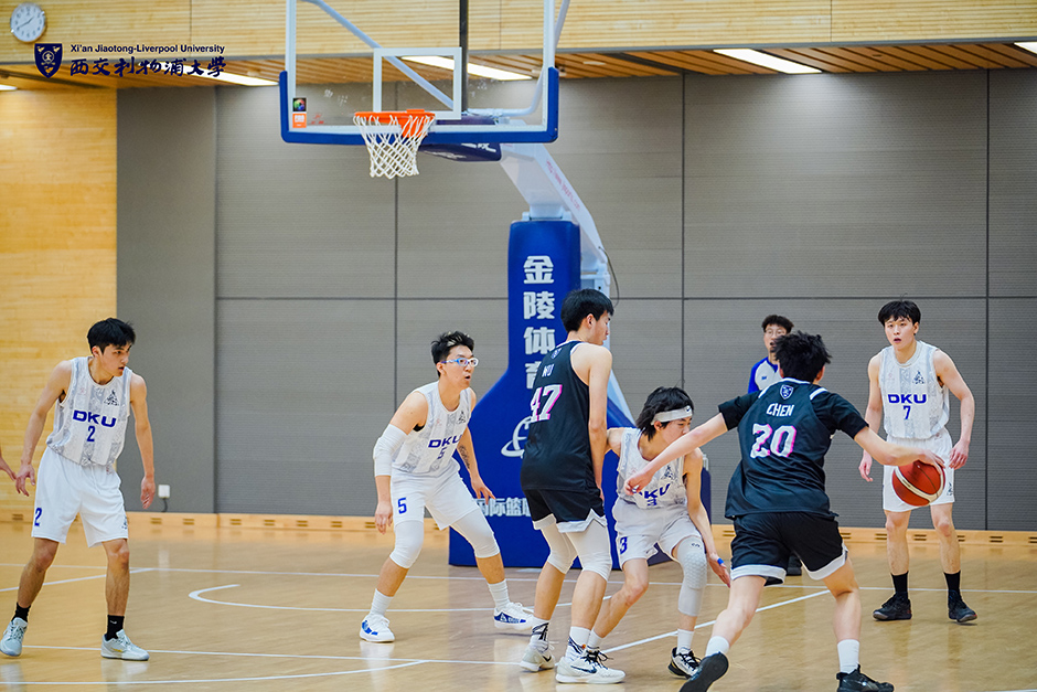尔迪的二