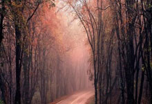 球友会官网：[高尔夫]亚巡国际系列赛澳门站3月打响 前三可获大满贯资格.