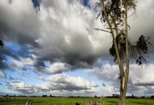 游泳世界杯男子200米蛙泳 覃海洋犯规痛失金牌.