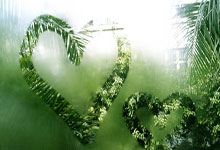 短道速滑——世锦赛：男子500米A组决赛赛况.